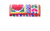 Embroidery Clutch - Lia Collections